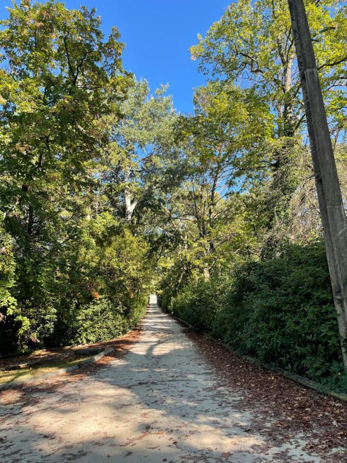 Le Chateau Emile Loubet - Appartement Entier La Bégude-de-Mazenc エクステリア 写真